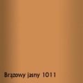 bązowy jasny 1011.jpg