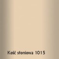 KOŚĆ SŁONIOWA 1015.jpg