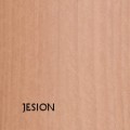 LAMINAT JESION.jpg